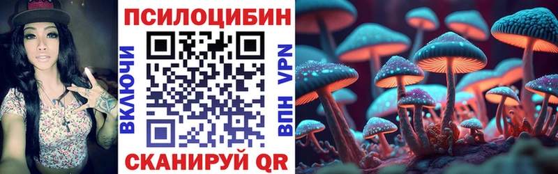 Псилоцибиновые грибы Magic Shrooms  наркошоп  Будённовск 
